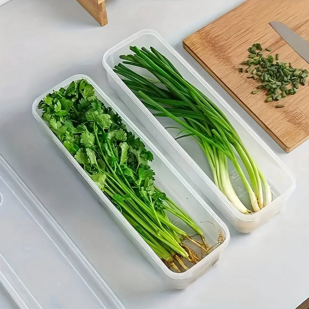 2 Long Rectangular Food Storage Containers Plastic Reusable