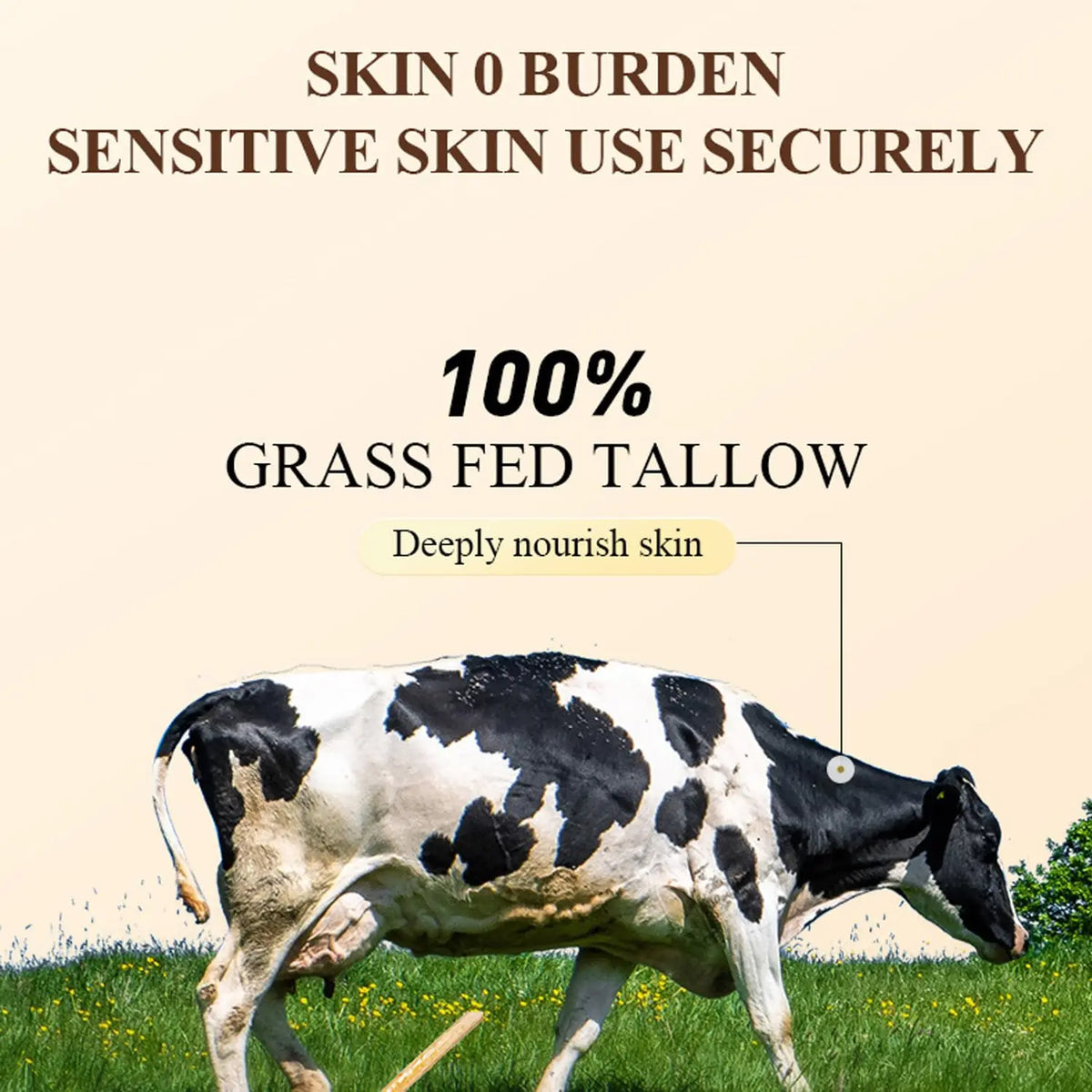 Beef Tallow Paste Skin Care Neck Balm Grass Fed Wild Honey