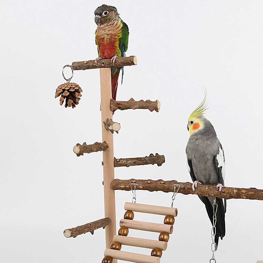 Wooden Bird Playstand Perch | Cockatiel Conure Lovebird Gym