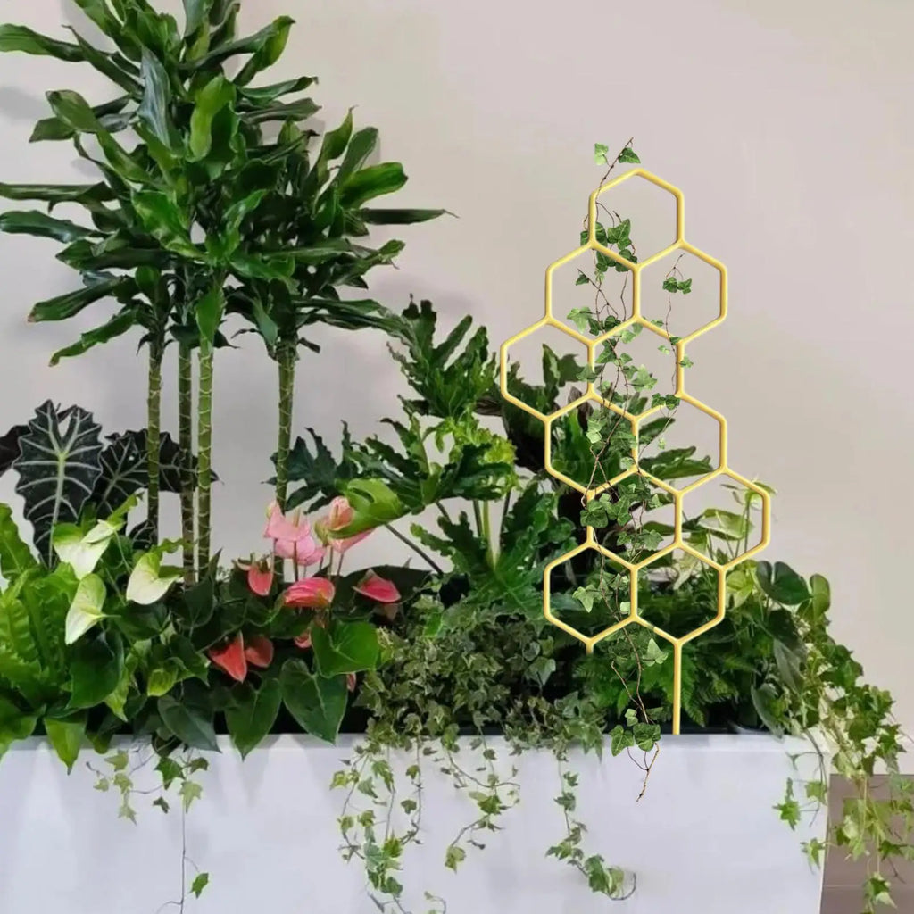 Rustproof Plastic Plant Trellis for Potted Vines & Flowers