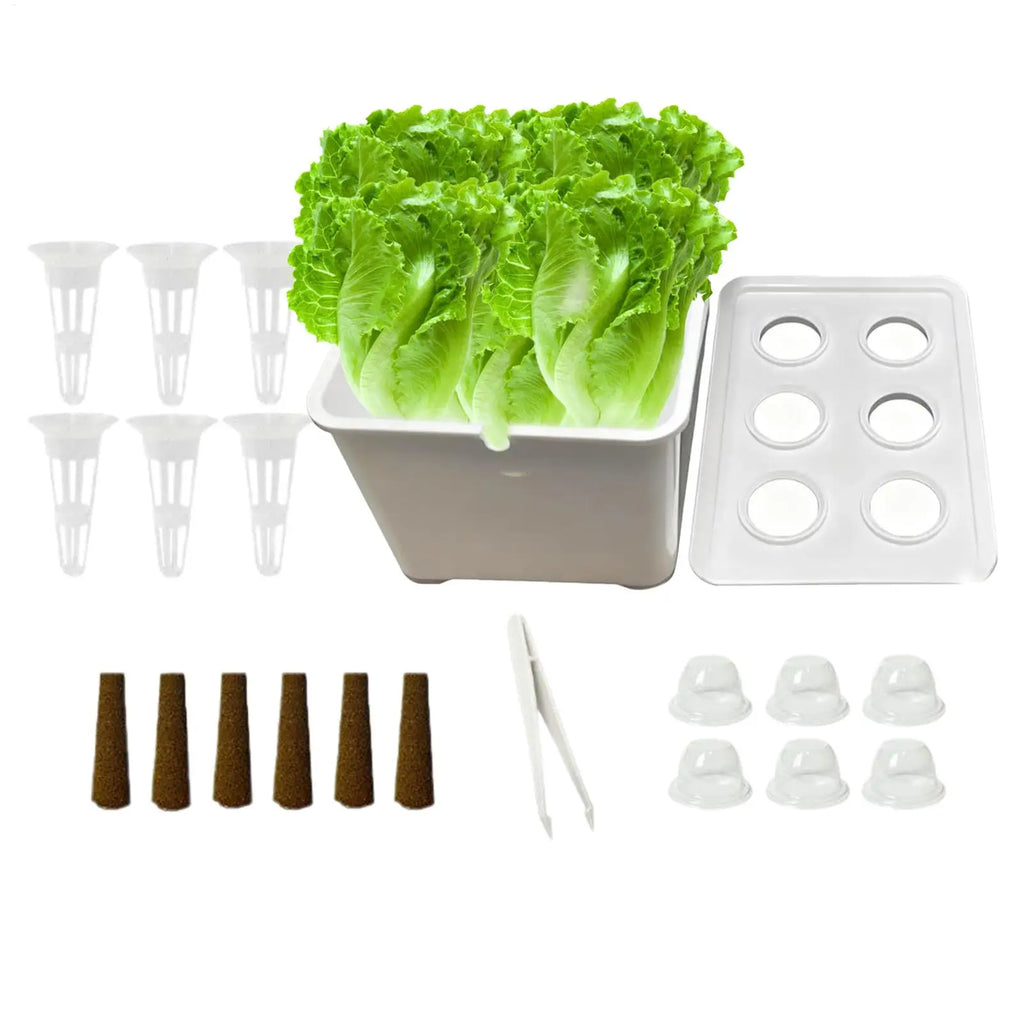 Indoor Hydroponic Planting Kit – Seedling Box for Home & Balcony