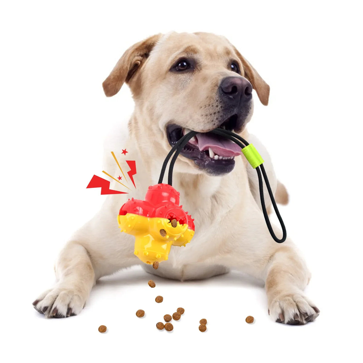 Pet Dogs Make Sounds Play Toy Balls Leak Food Grind Teeth Clean Be