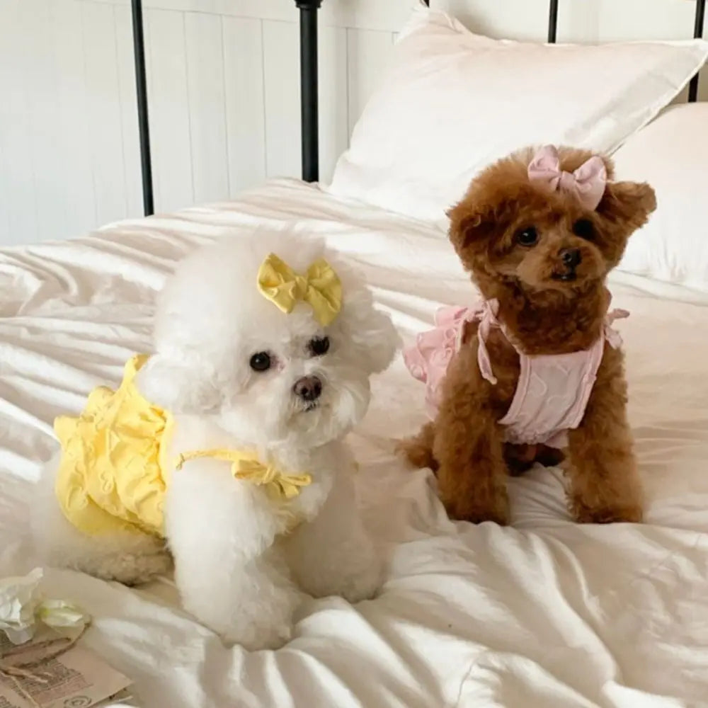 Cute Dog Cake Skirt Vest | Breathable Pet Summer Dress