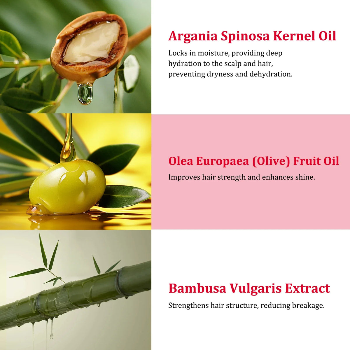 YURHERSU Forest Gum Oil Essence Shampoo – All Hair Types 60g