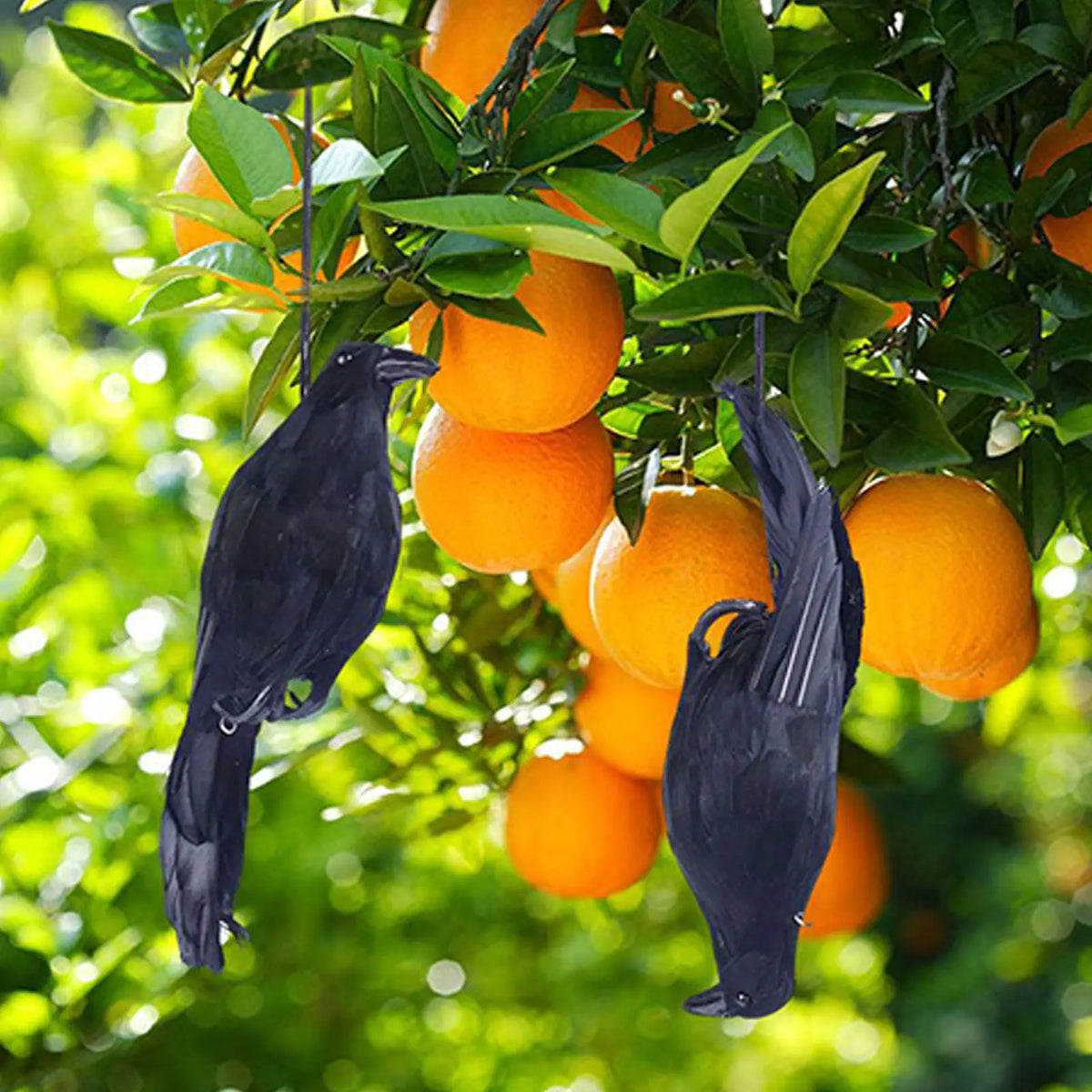 Hanging Crow Decoy with Feathers | Halloween Garden Bird Prop