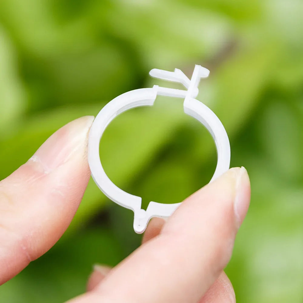 100PCS Reusable Plastic Plant Clips – Tomato & Vine Support