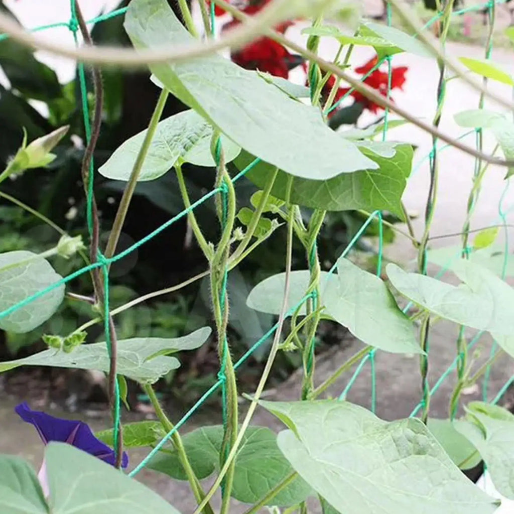 Plant Trellis Netting for Climbing Plants – Polyester Grow Net