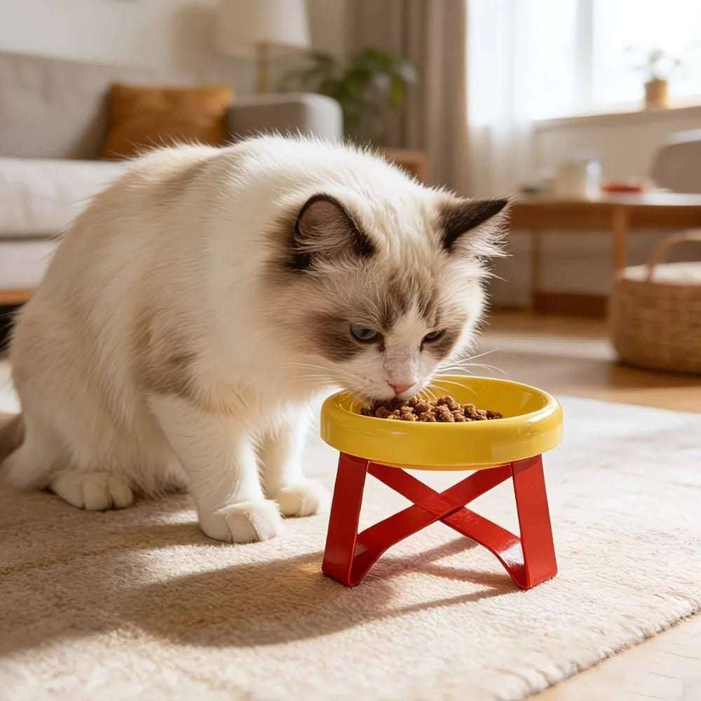 Elevated Cat Bowl – Anti-Spill Raised Pet Food Bowl