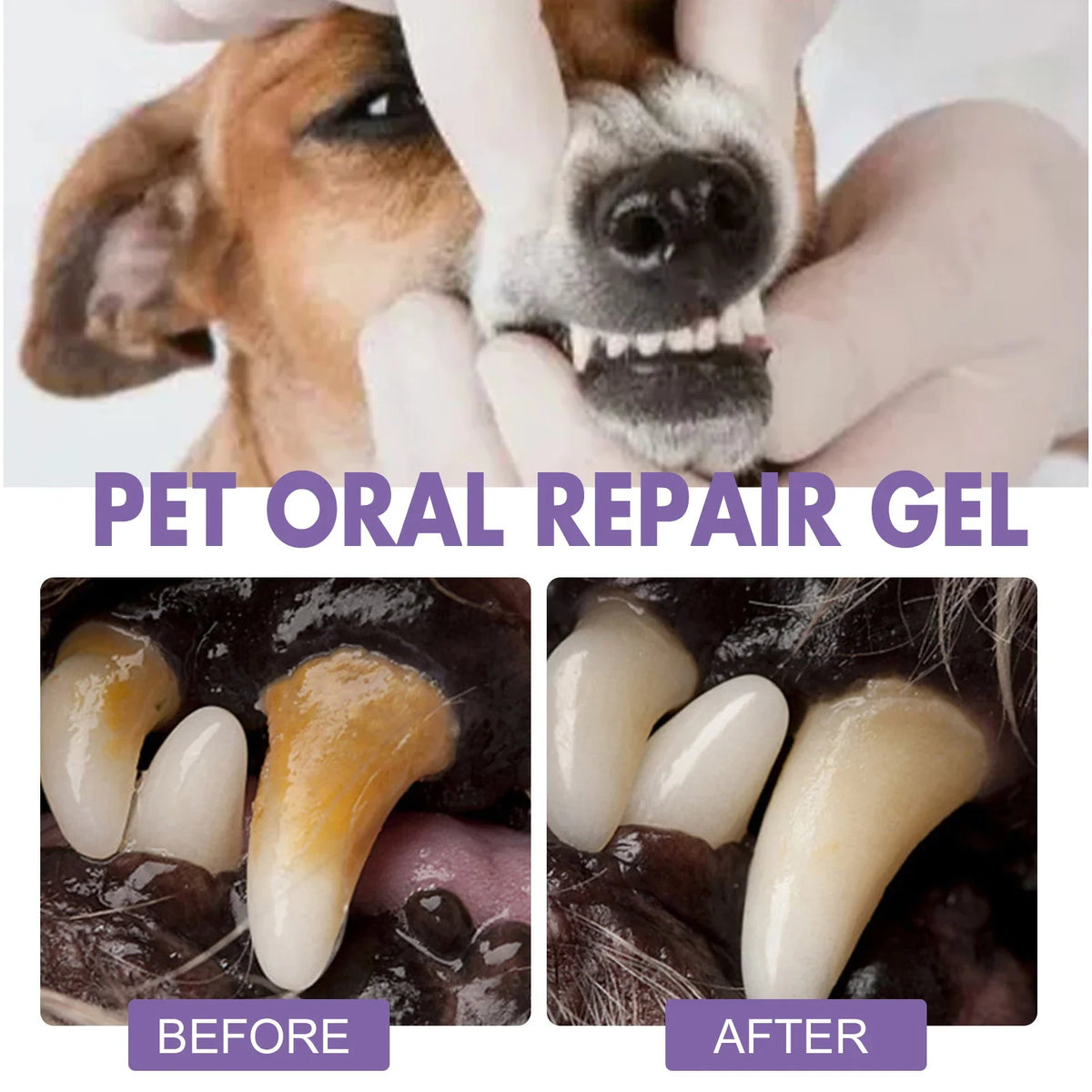 YEGBONG Pet Oral Repair Gel – Dog Teeth Cleaning Pen 2-Pack