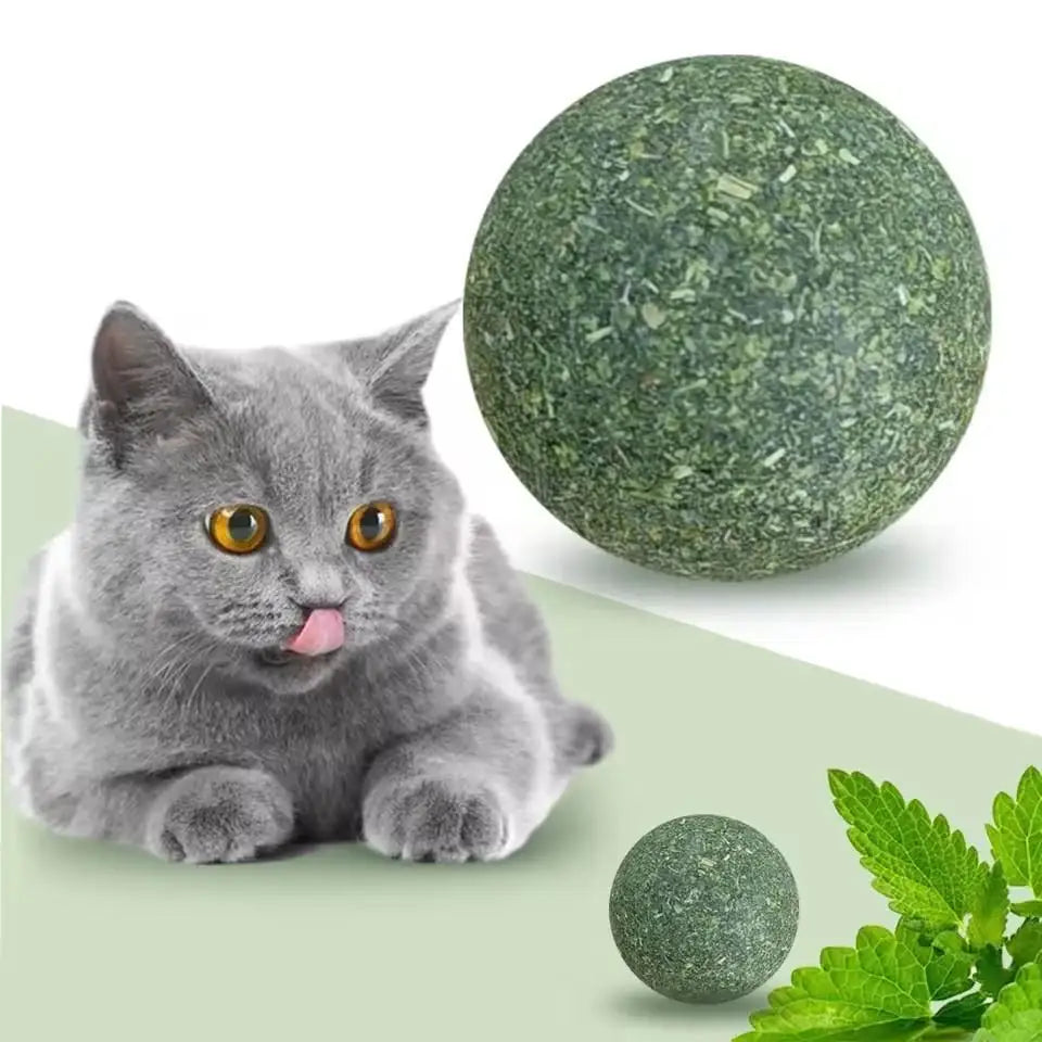 Natural Catnip Ball Toy – Teeth Grinding & Cat Enrichment