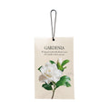 4-Pack Jasmine Scented Sachets – Closet, Car & Home Freshener
