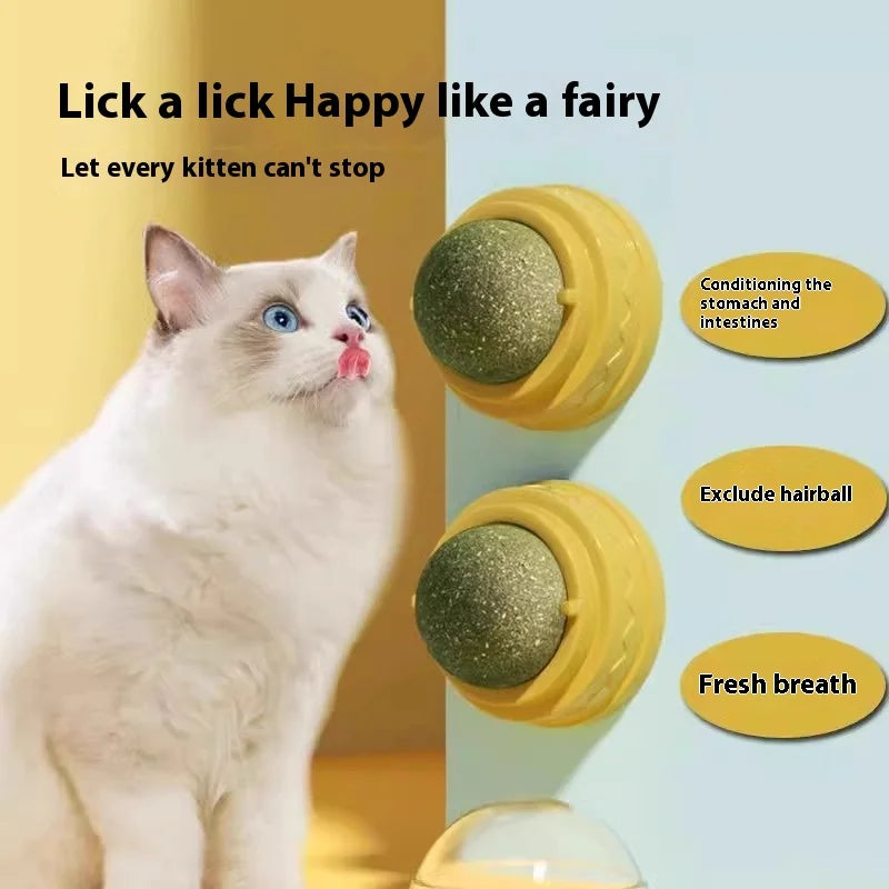 Catnip Ball Cat Toy Self-amusement Kitten Supplies Catgrass Teething