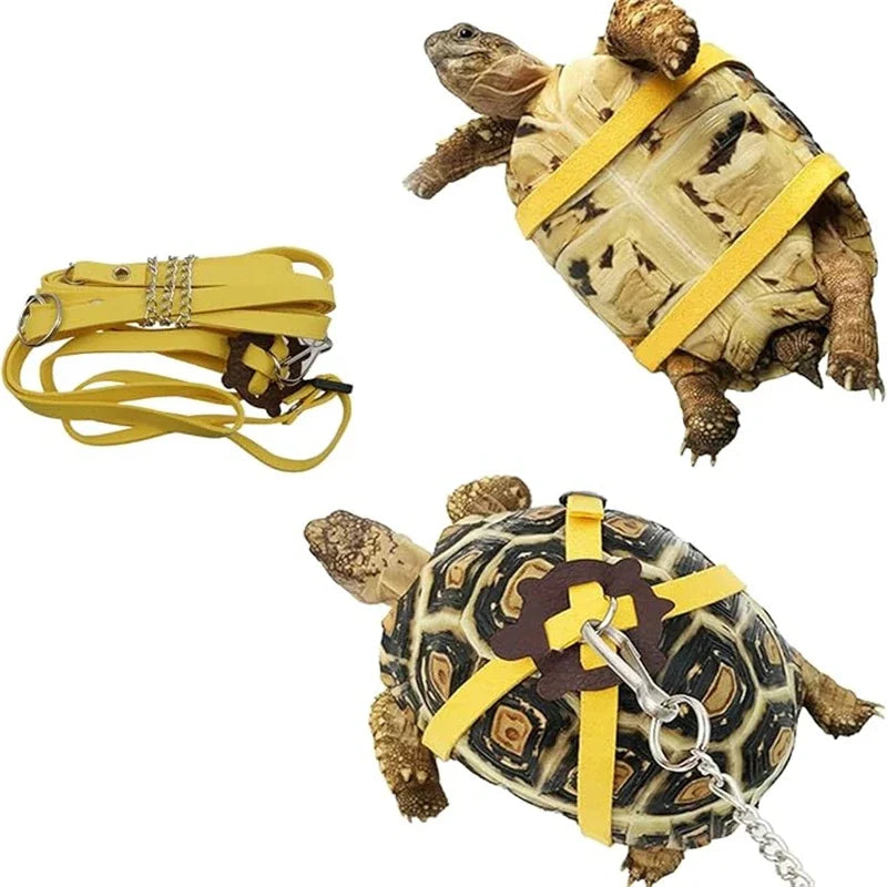 Pet Turtle Leash & Harness – Outdoor Training Traction Belt