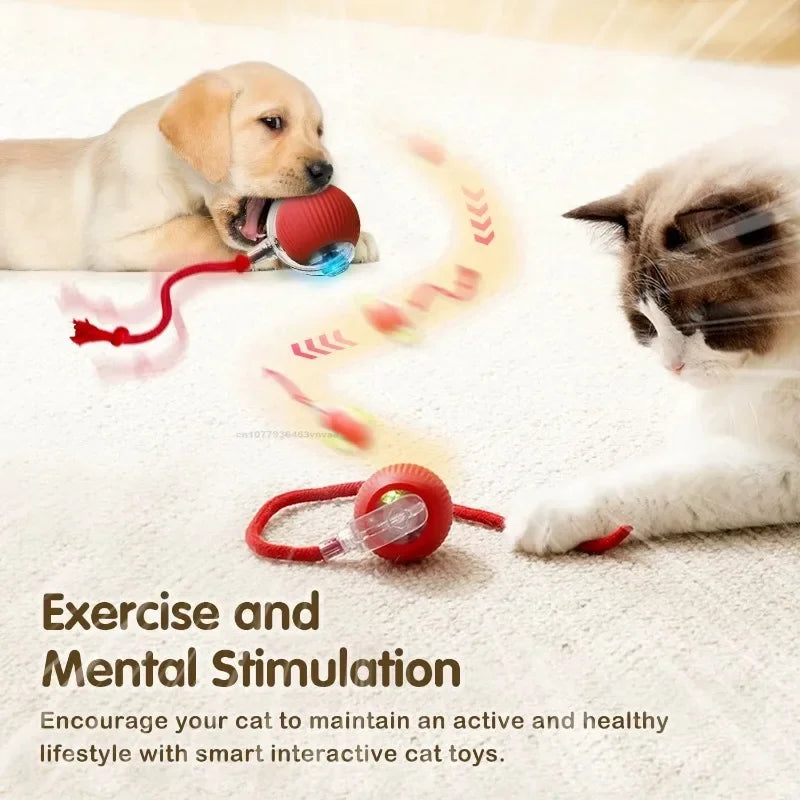 Interactive Auto Rolling Ball Toy for Cats – USB Rechargeable