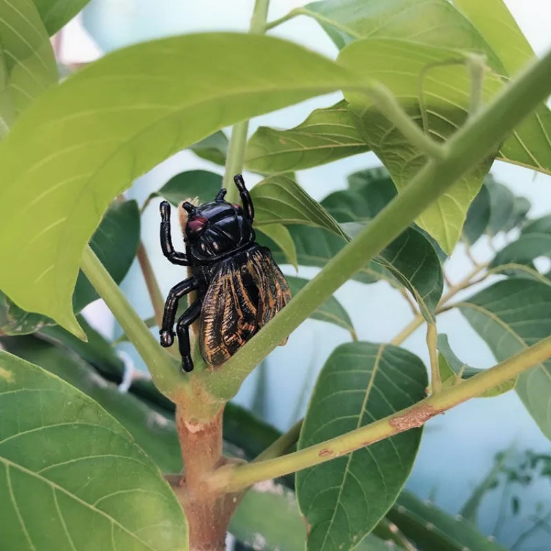 20 Pcs Realistic Cicada Figurines – Halloween & Home Décor