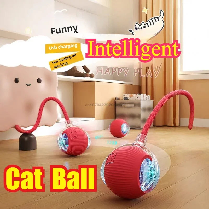 Interactive Auto Rolling Ball Toy for Cats & Dogs | USB Rechargeable