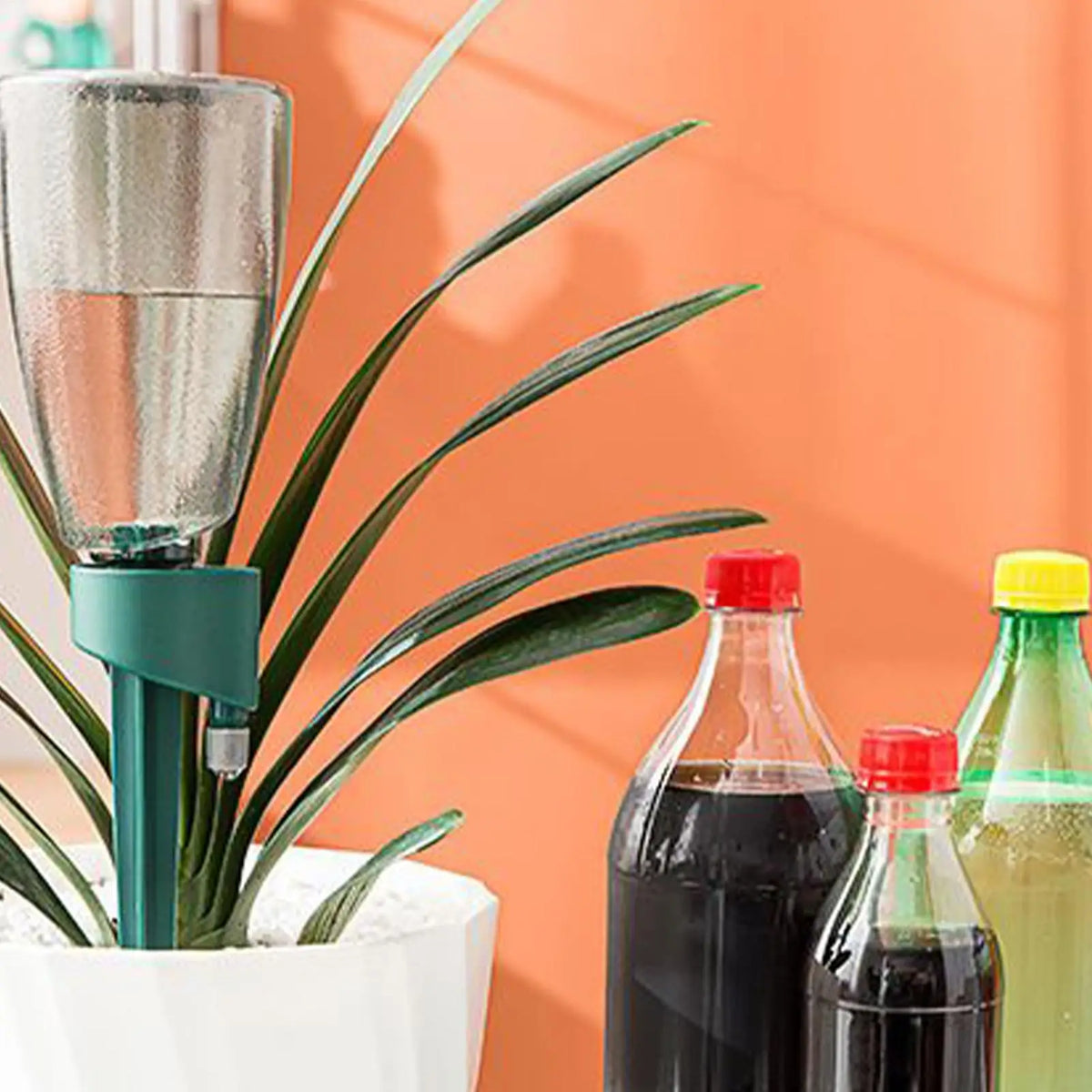 6-Pack Self Watering Plant Spikes | Auto Drip Irrigation Kit