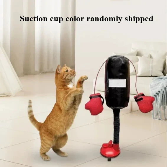 Cat Punching Bag Toy with Boxing Gloves & Suction Cup
