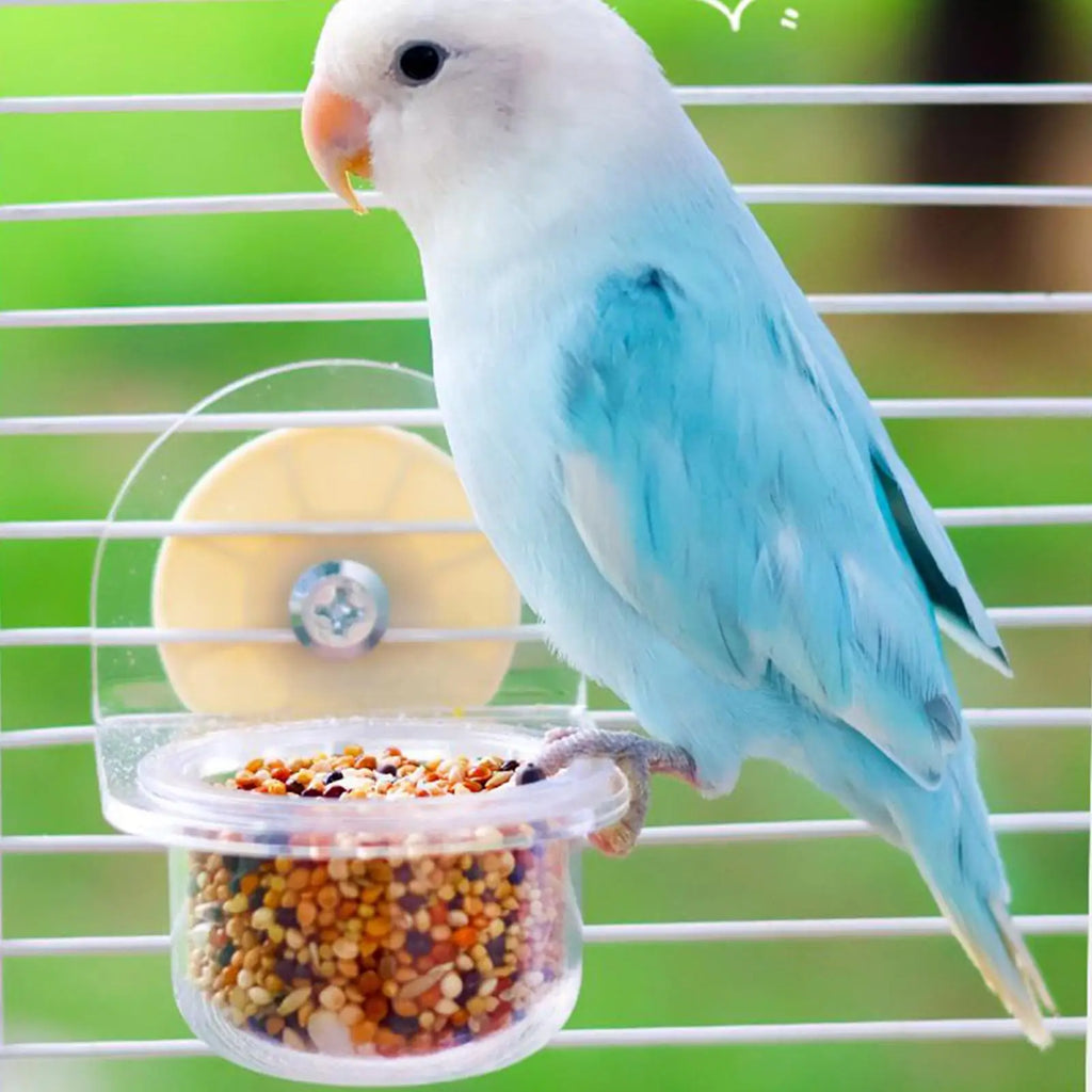Detachable Transparent Bird Feeder Cups for Cages | Parrot & Cockatiel