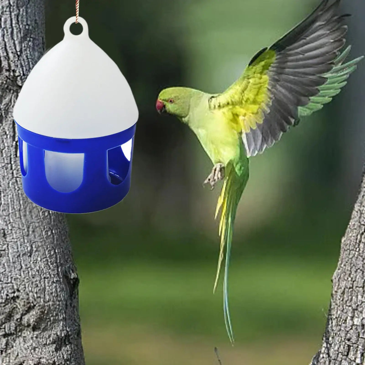 Pigeon Water Feeder Bird Dispenser Removable Spill-proof Waterer
