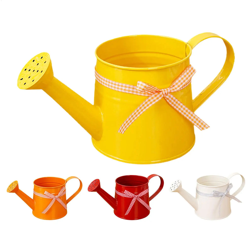 Mini Metal Watering Can – Decorative Indoor Plant Sprinkler 1L