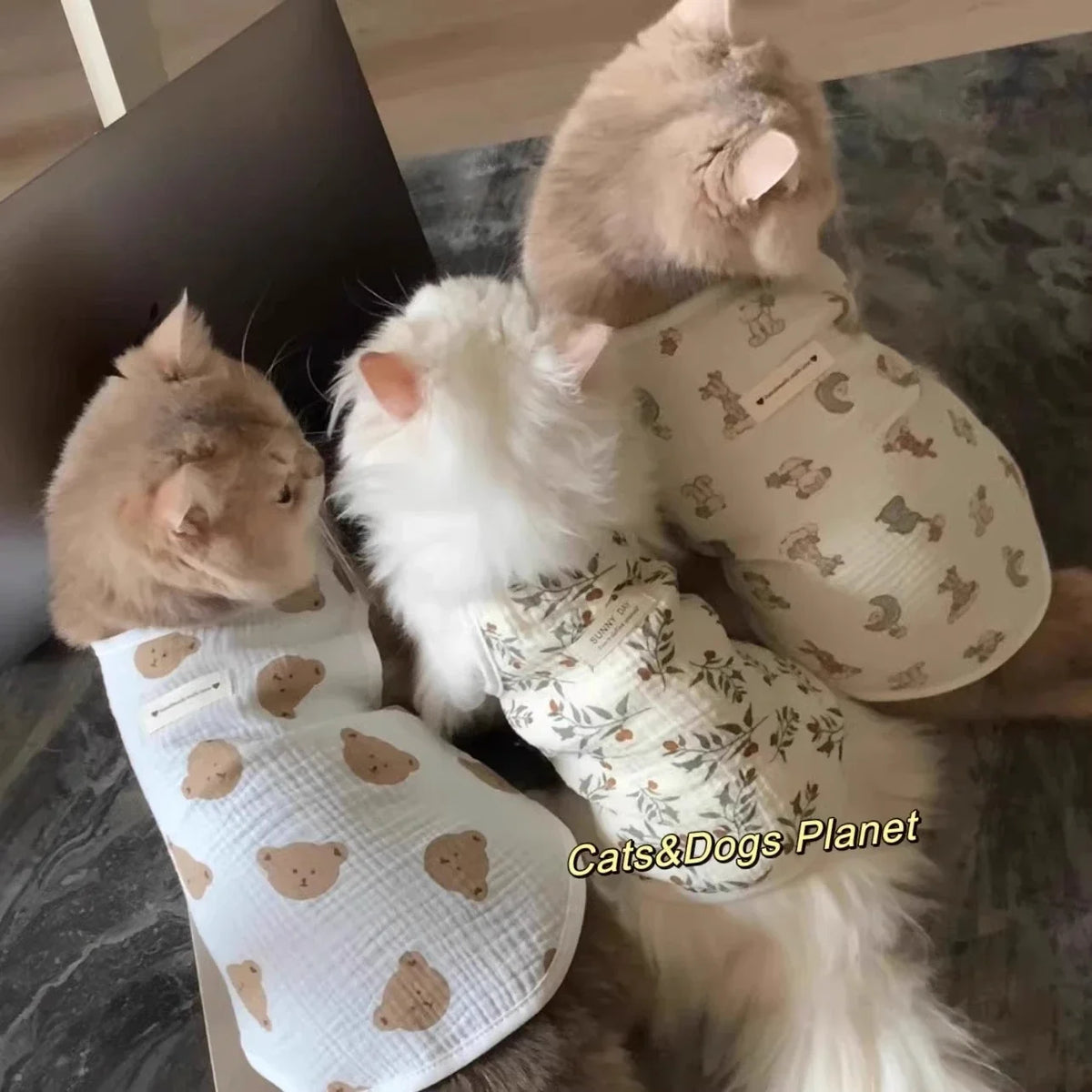 Bear Pet Vest Dog Clothes Cat Solid T-shirt Clothing Dogs Thin Small