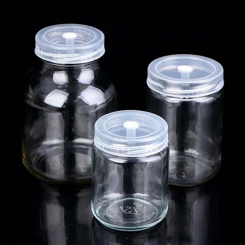 240ml Glass Tissue Culture Jar – Plant Seedling Propagation
