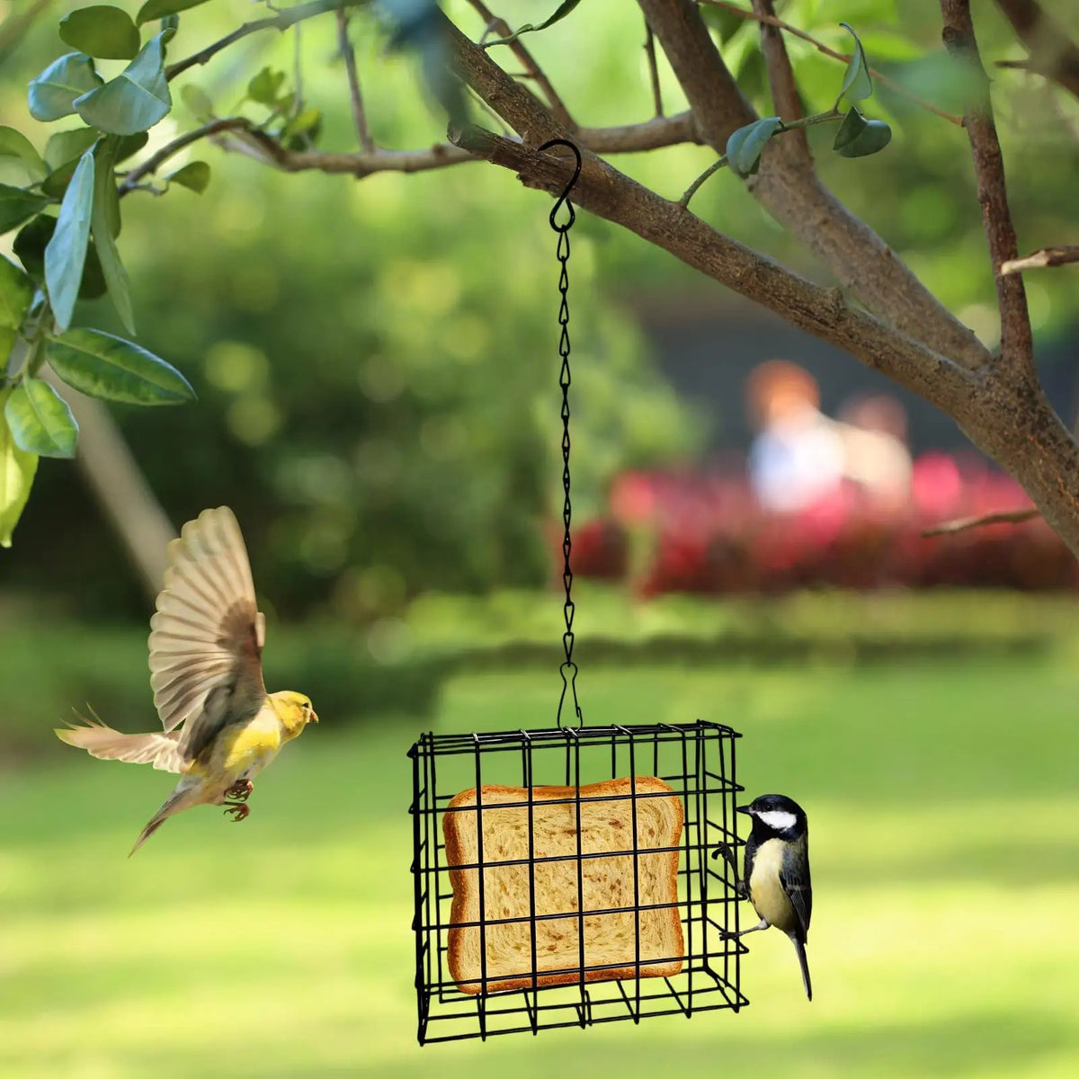 Suet Feeder Squirrel Proof Reusable Birdwatching Station Bird Balcony