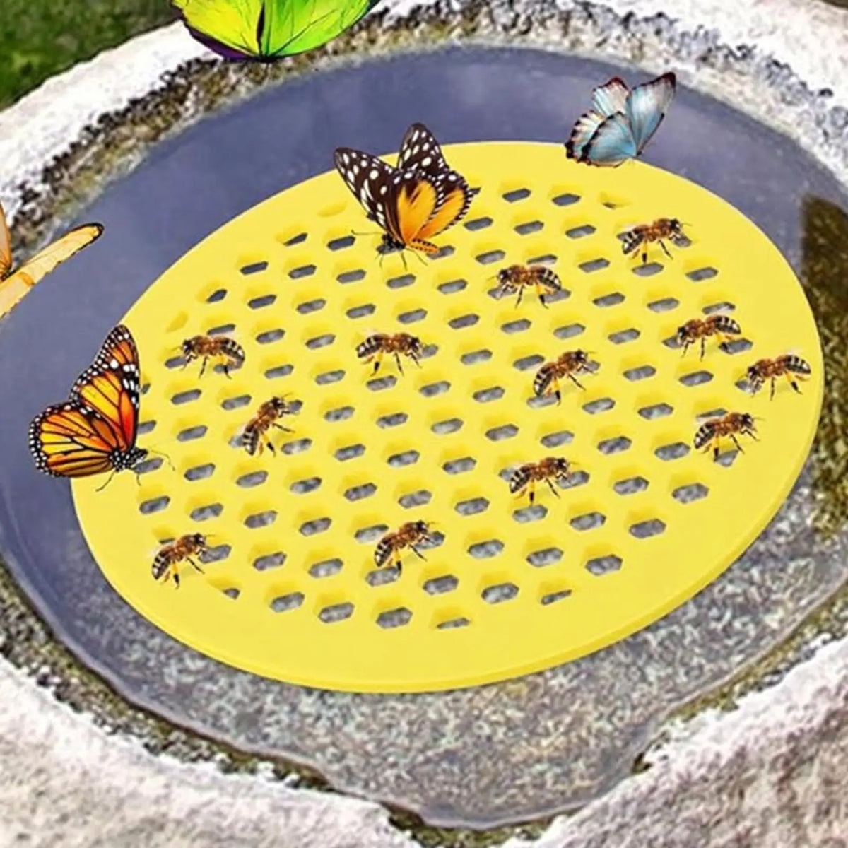 Floating Bee Watering Station – Butterfly & Bee Drink Feeder
