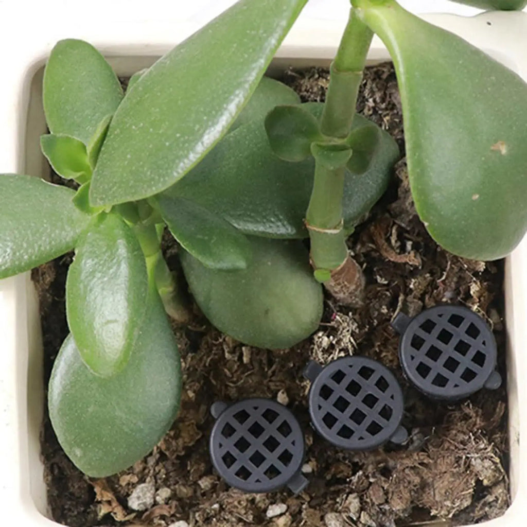 10-Pack Bonsai Slow Release Fertilizer Mesh Baskets with Lid
