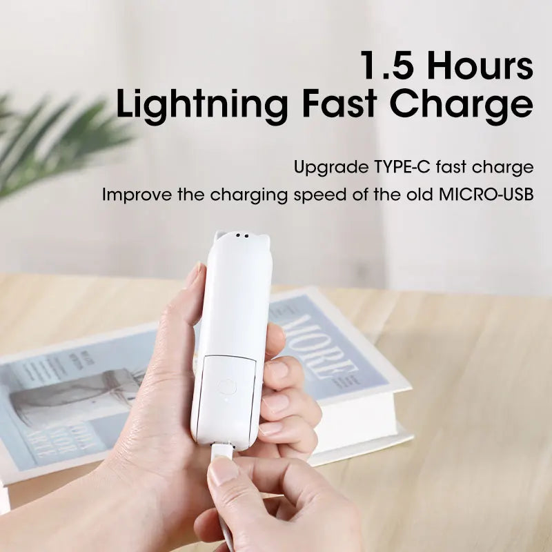Portable Mini Handheld Fan USB Rechargeable 2000mAh + Power Bank
