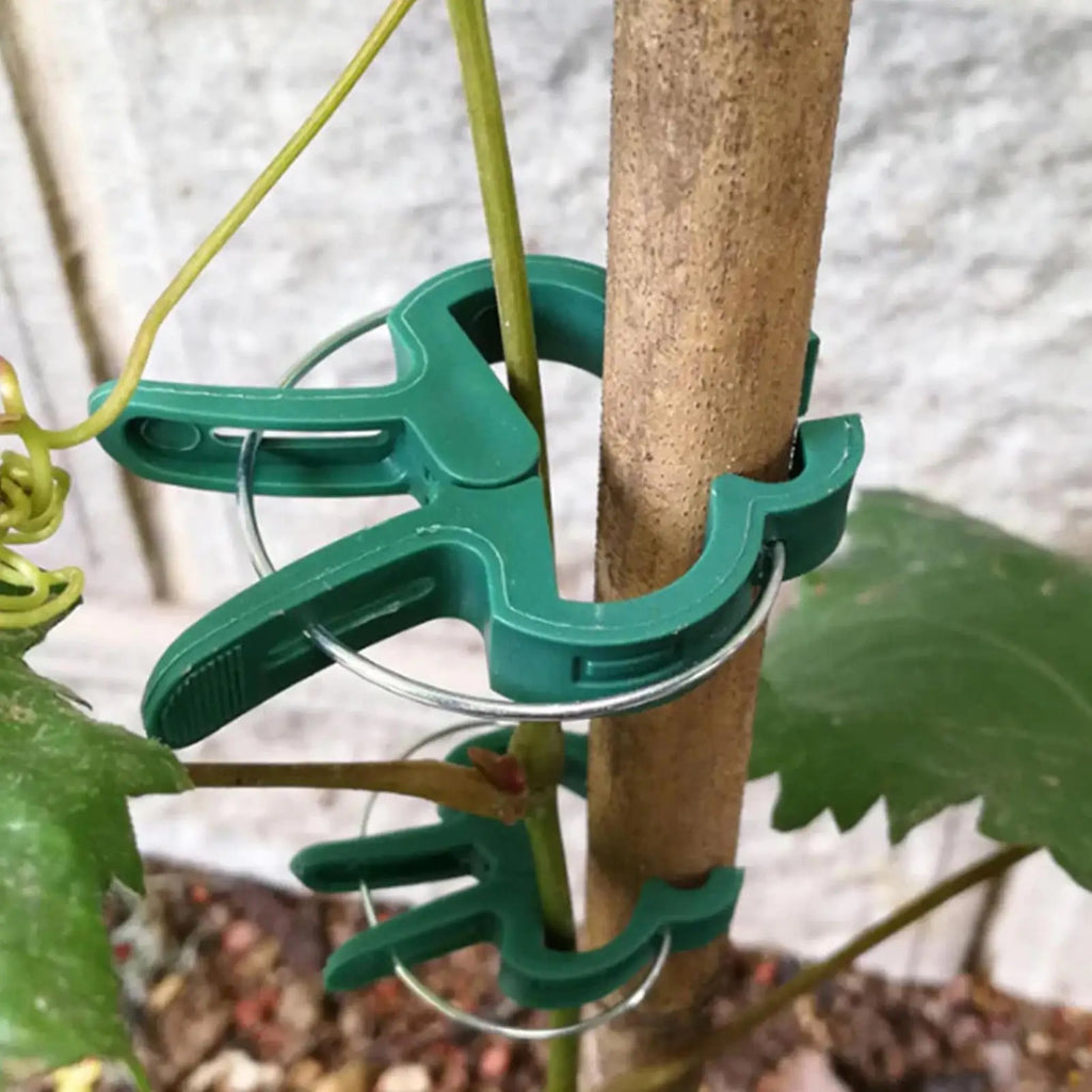 Plant Support Clips 20-Pack | Reusable Vine & Tomato Clamps