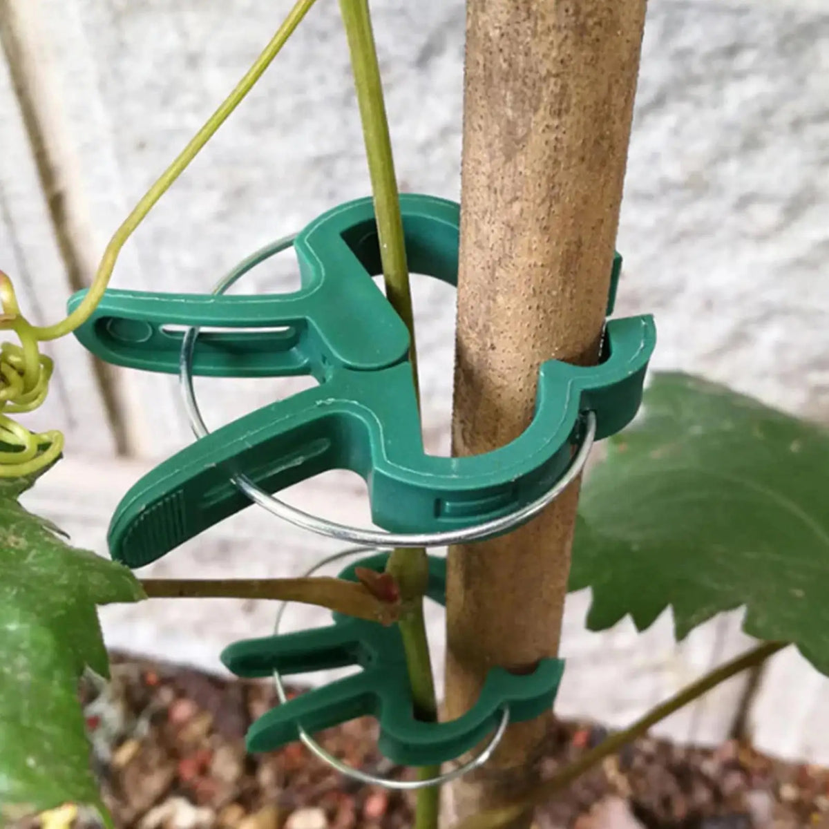 Plant Support Clips 20-Pack | Reusable Vine & Tomato Clamps