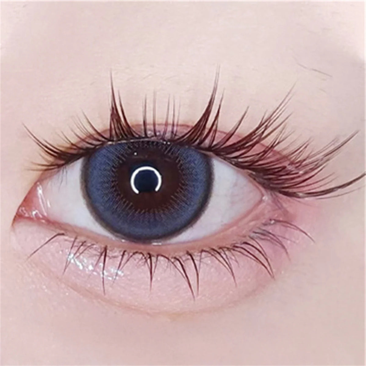 Cat Eye Cluster False Eyelashes | Natural Volume, Clear Band