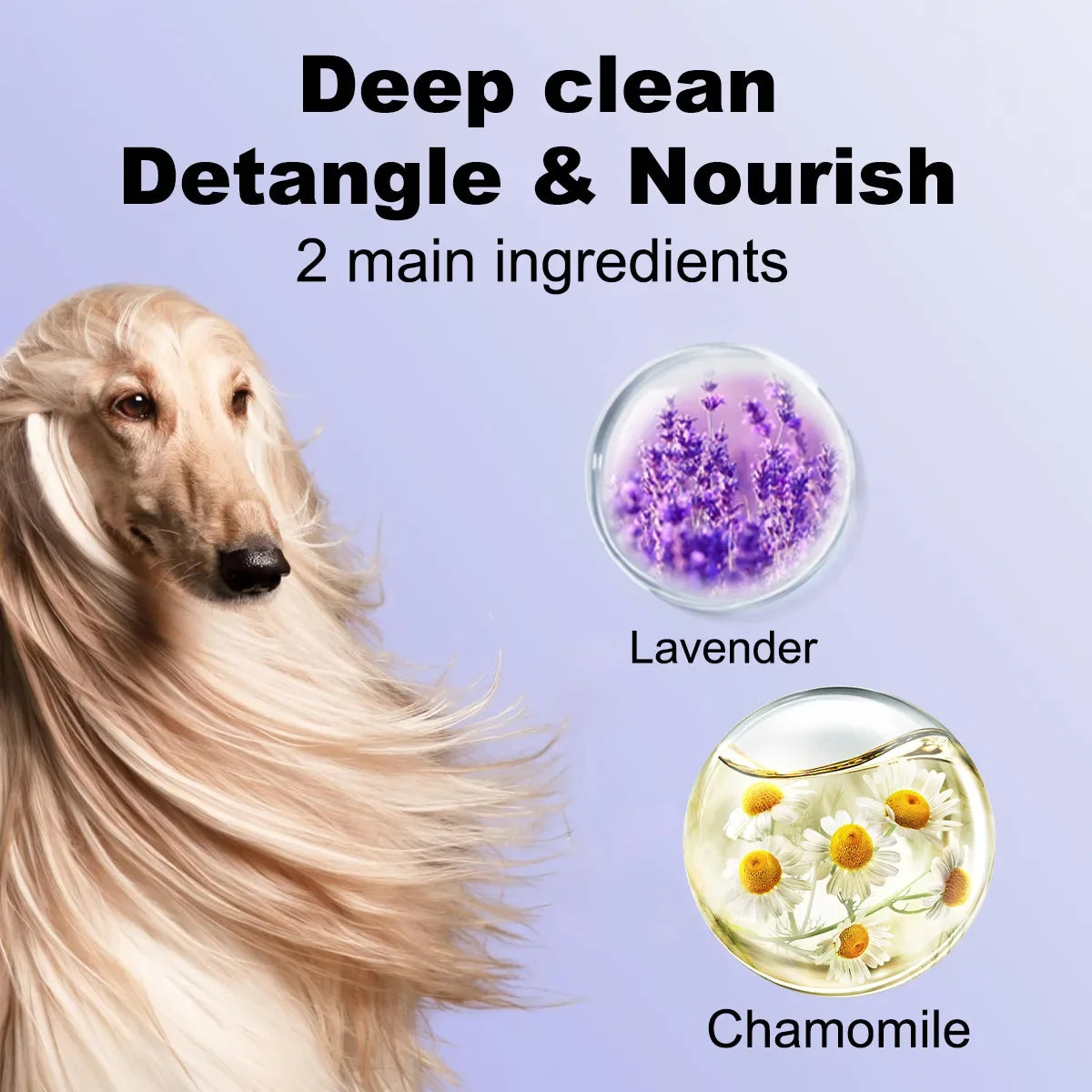 Pet Shampoo for Cats & Dogs – Odor Removal & Softer Coat