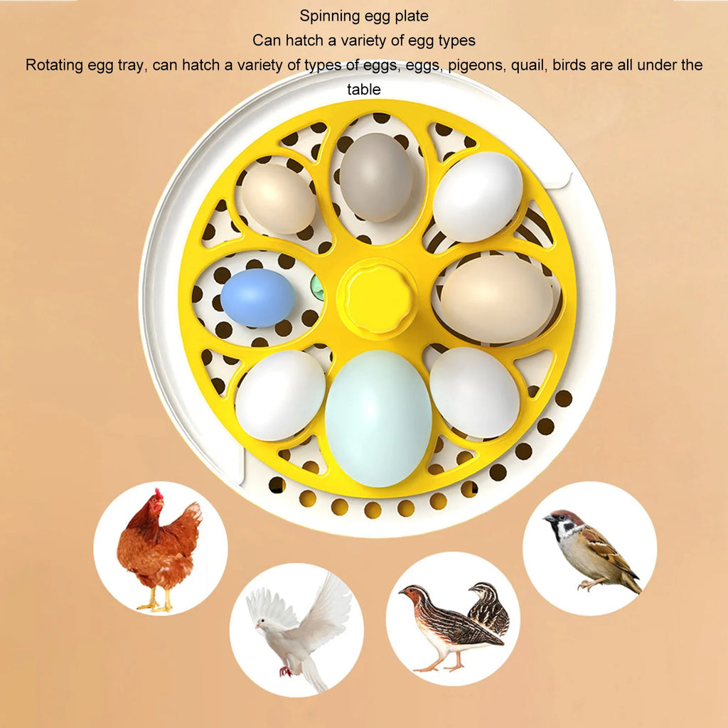 Digital Egg Candler Incubator Noiseless Automatic Temperature