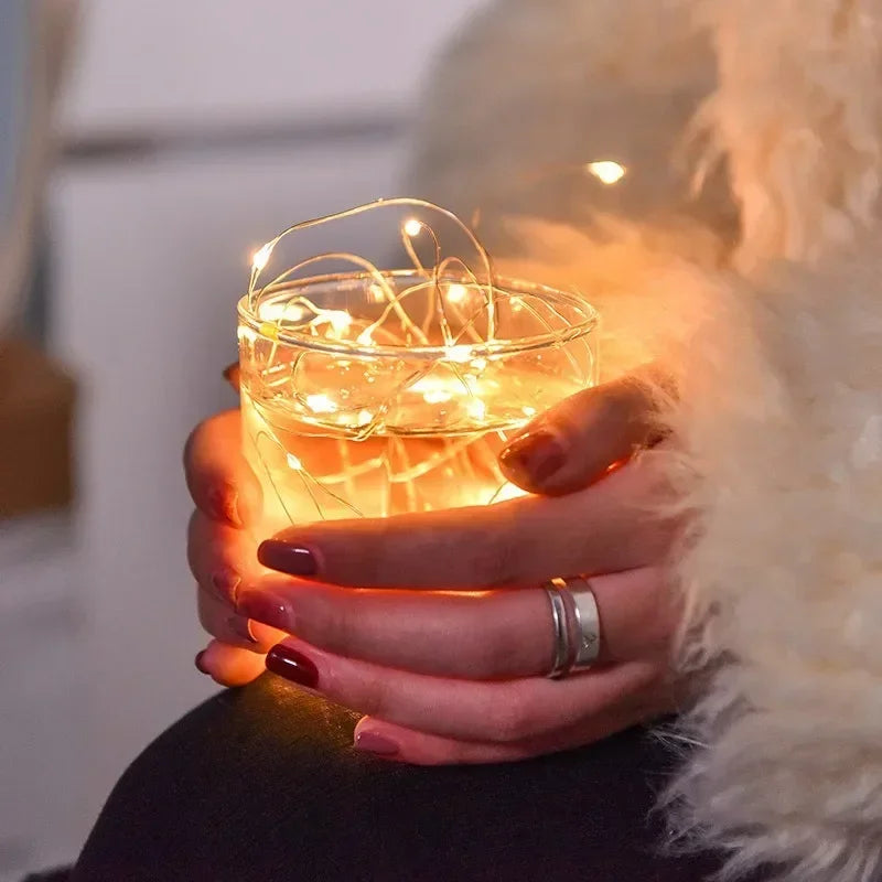 USB Copper Wire LED Fairy String Lights | Party & Wedding