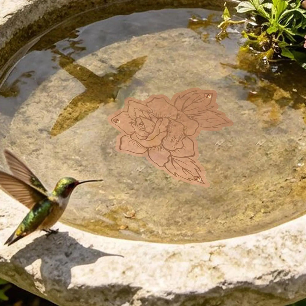Copper Bird Bath Purifier Disk – Triple-Point Support