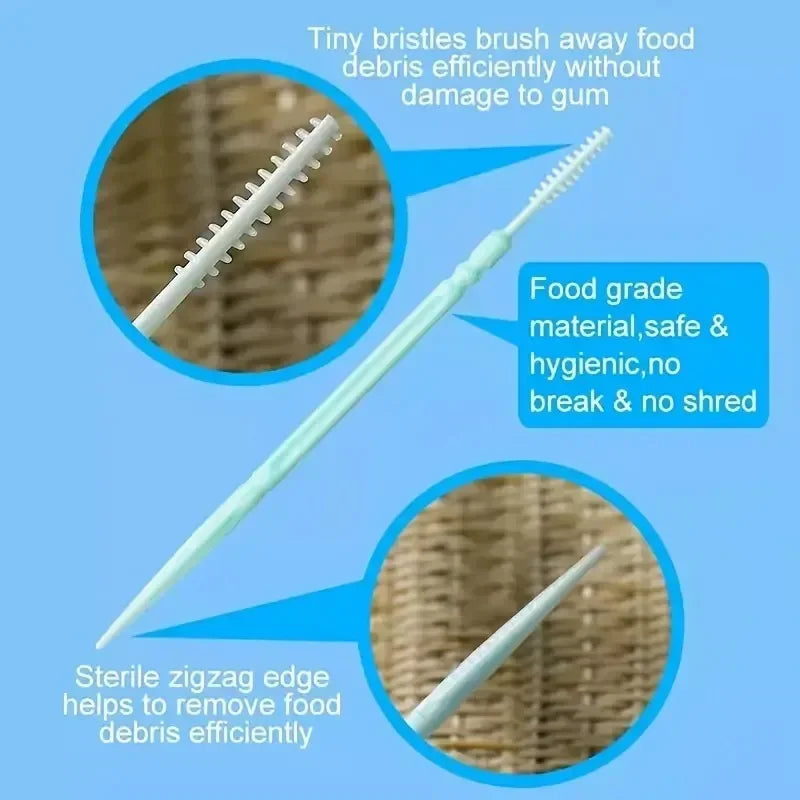 200-Pack Double-Ended Plastic Toothpicks & Interdental Brush