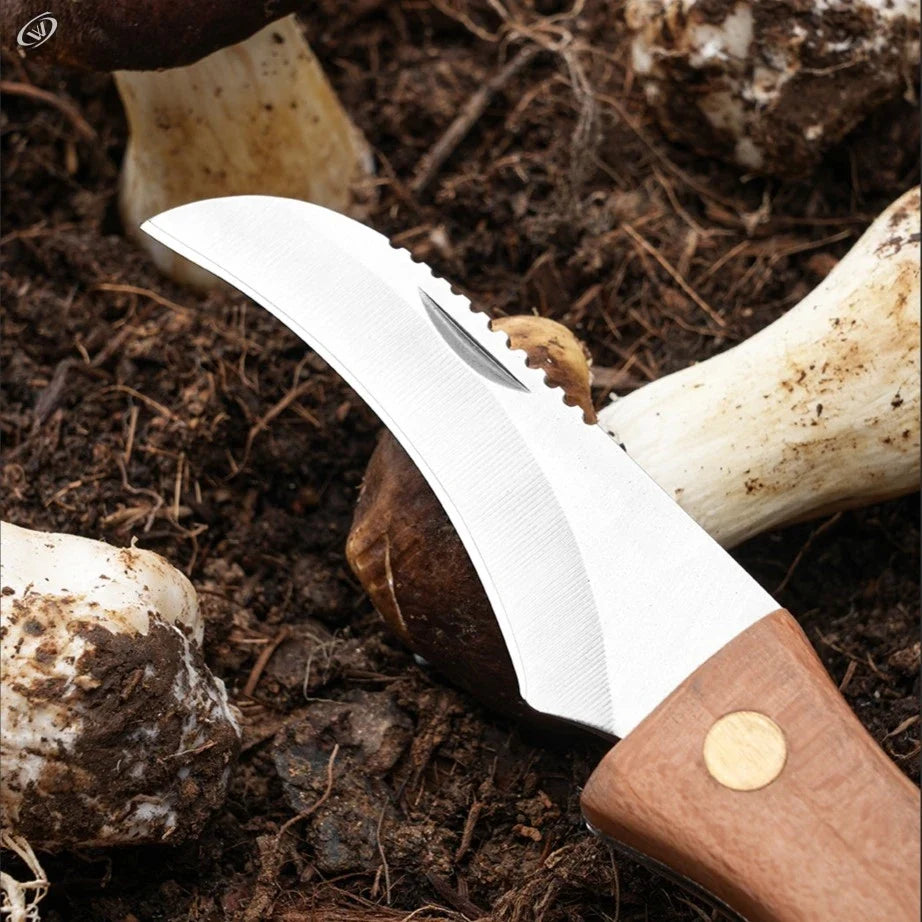 Mushroom Foraging Folding Knife – Rosewood Handle & Brush EDC