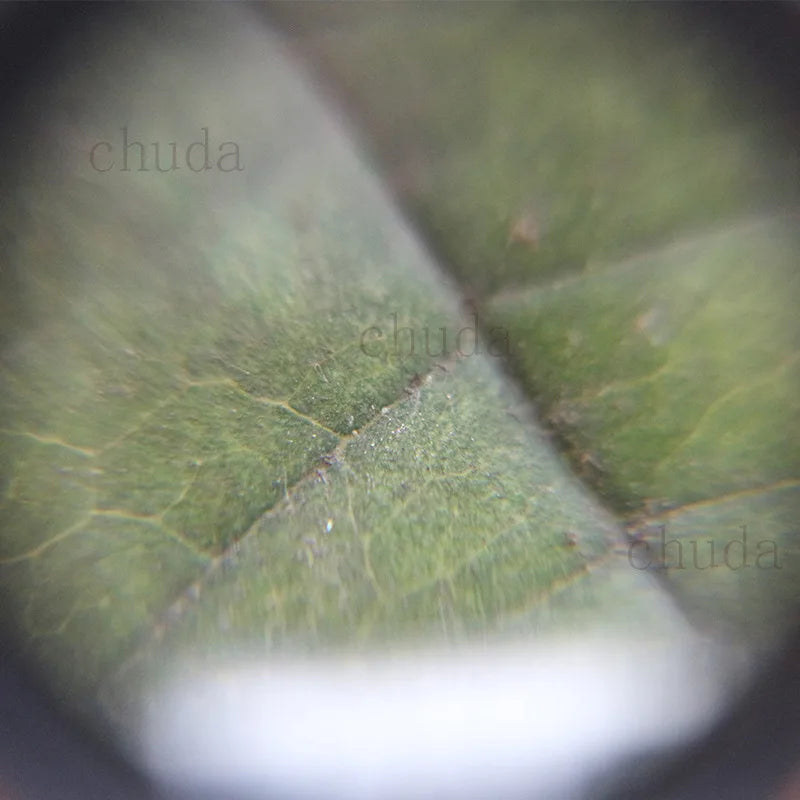 10X Cylindrical Film Slide Magnifier – HD Acrylic Loupe