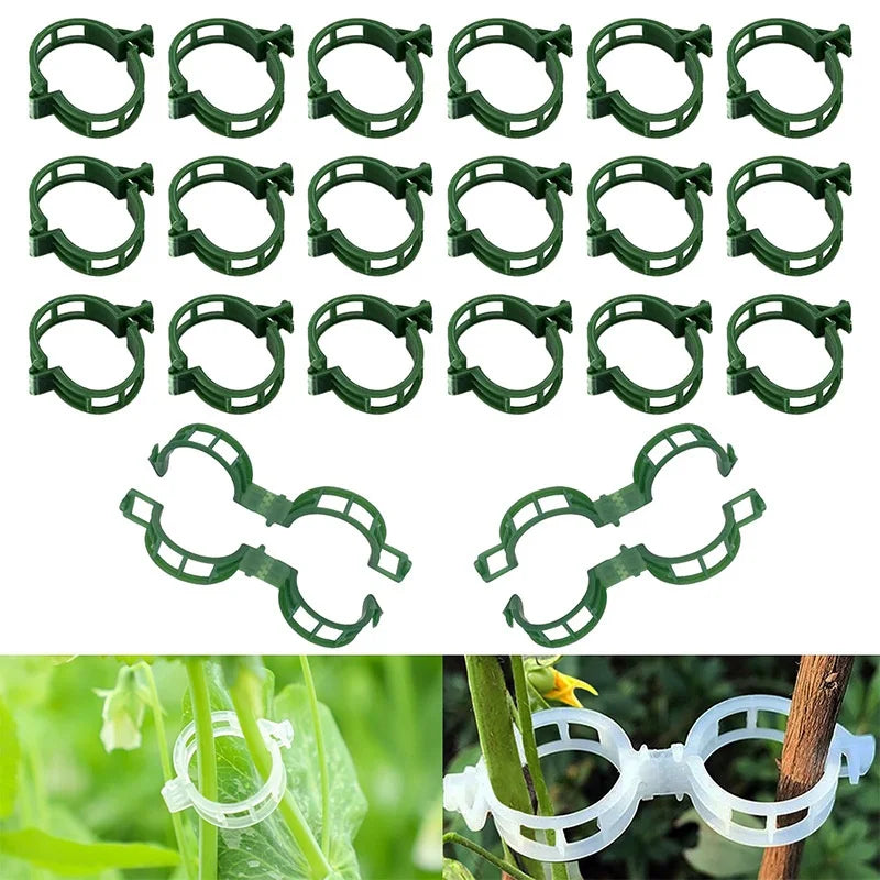 Plastic Plant Support Clips for Tomatoes & Climbing Plants