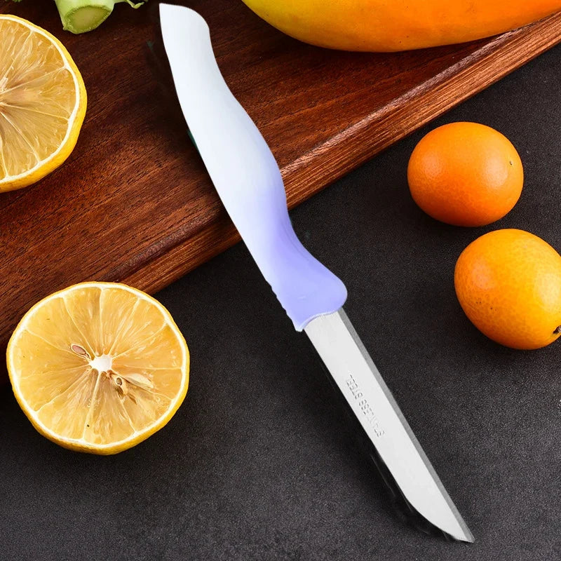 Gradient 4-Color Paring Knife Set with Sleeves | Kitchen Knives