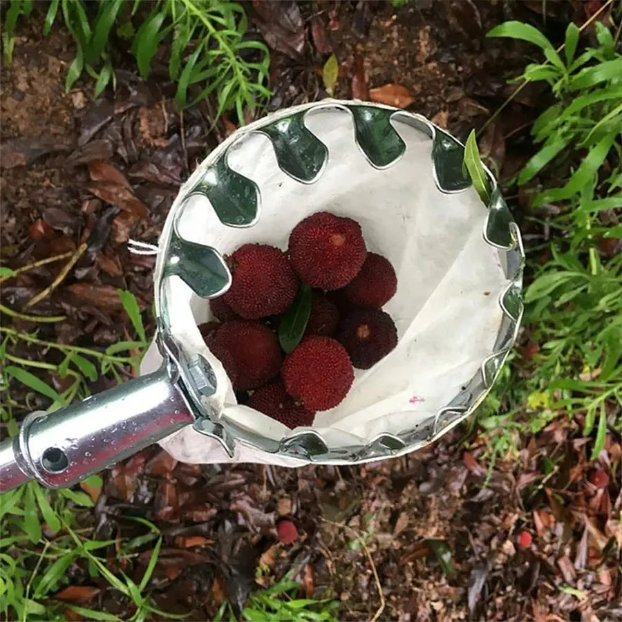 Adjustable Long Reach Fruit Picker Tool | Apple Cherry Berry