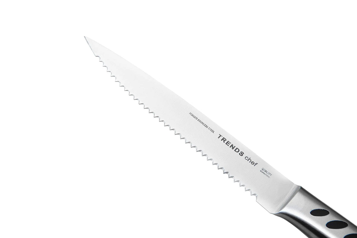 6-Piece Serrated Steak Knife Set – German Stainless Steel