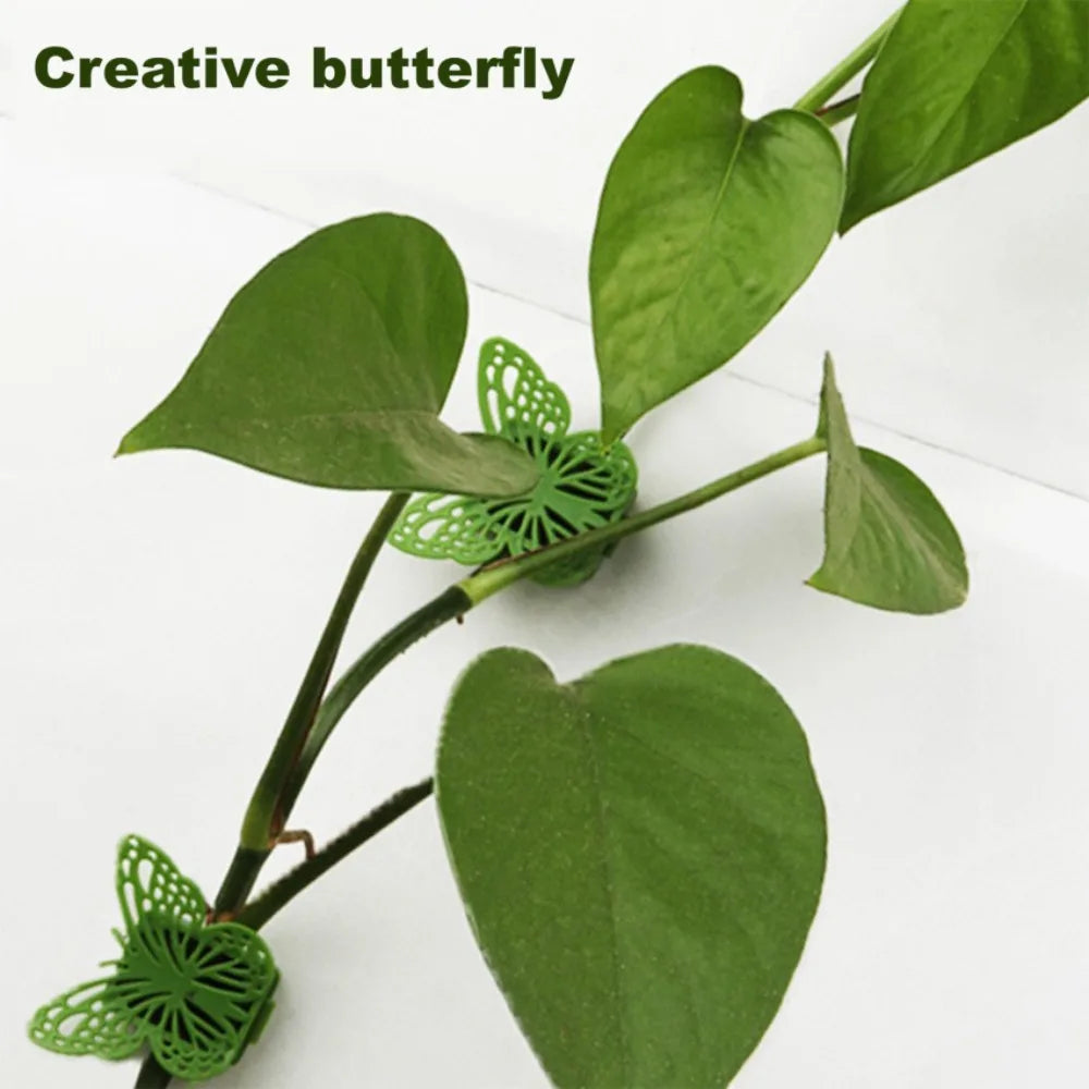Butterfly Plant Climbing Clips | Wall Vine & Flower Support 10pk
