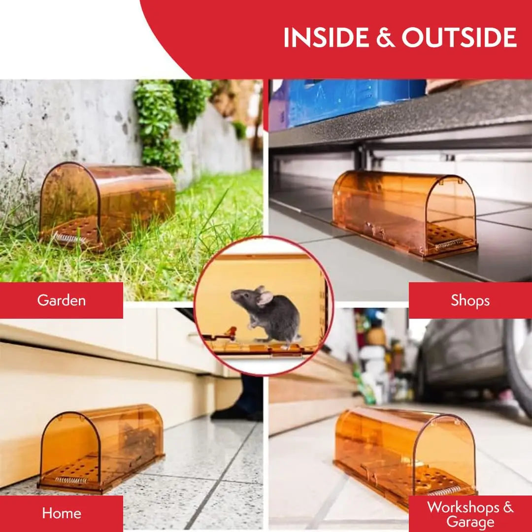 Humane No-Kill Mouse Trap Cage – Reusable Rodent Catcher