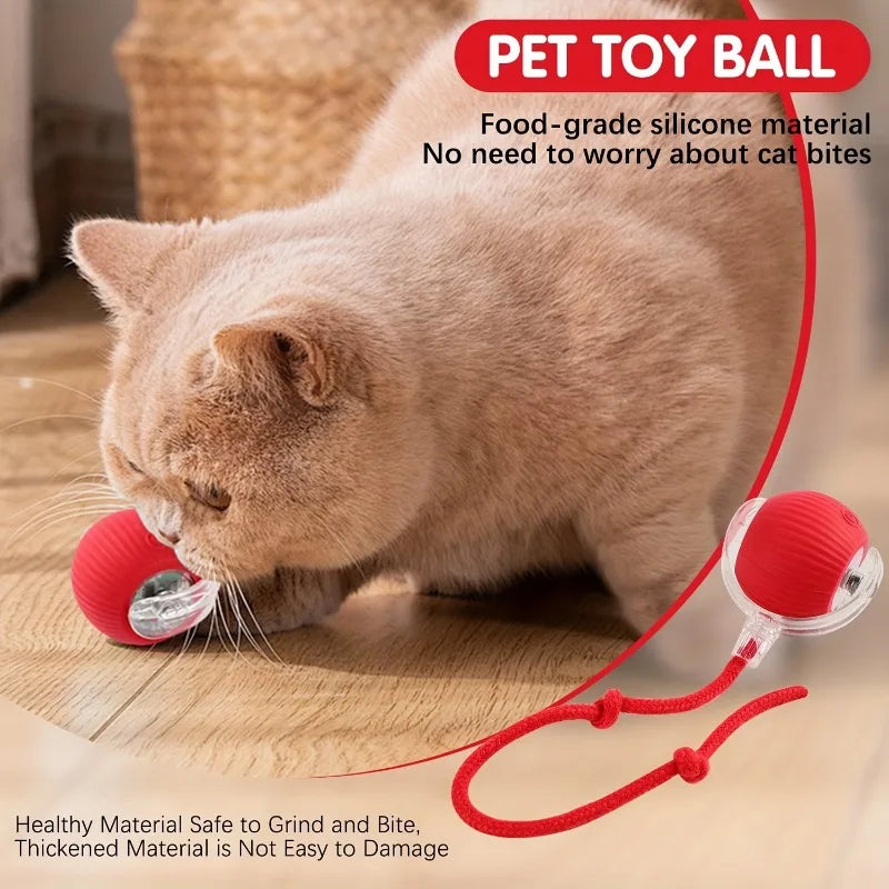 Electric Auto-Rolling Interactive Cat Ball Toy | USB Rechargeable
