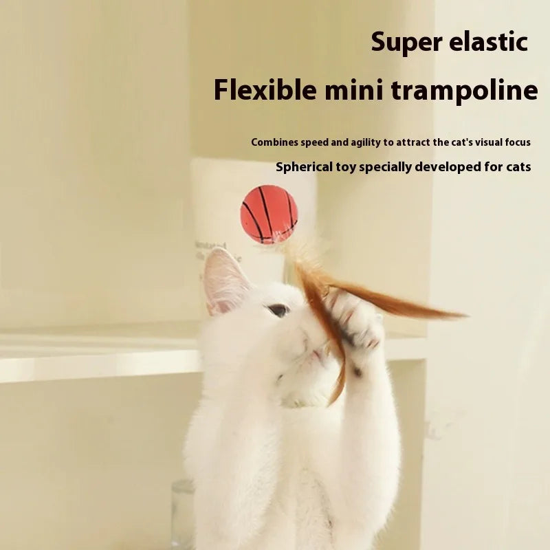 Popular Chicken Feather Rubber Elastic Ball Throwing Cat Toy