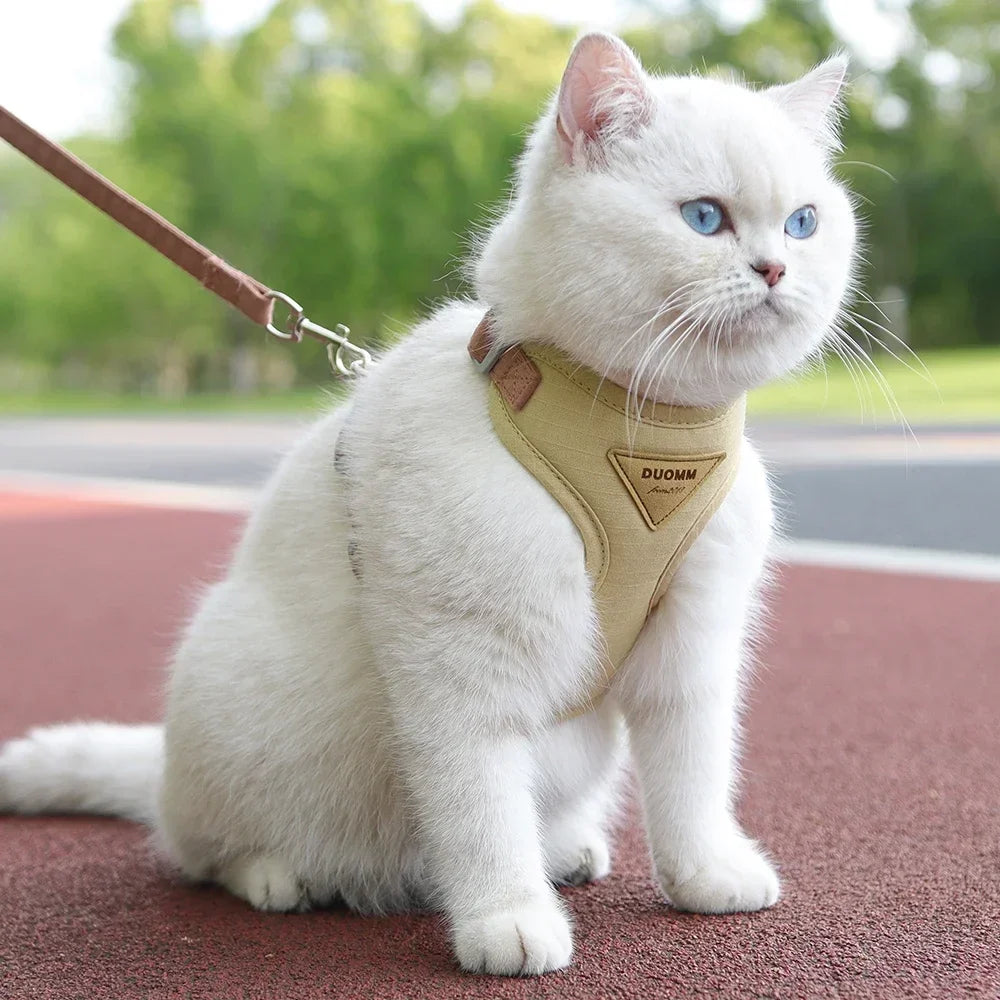 Breathable Pet Harness & Leash Set for Cats & Small Dogs